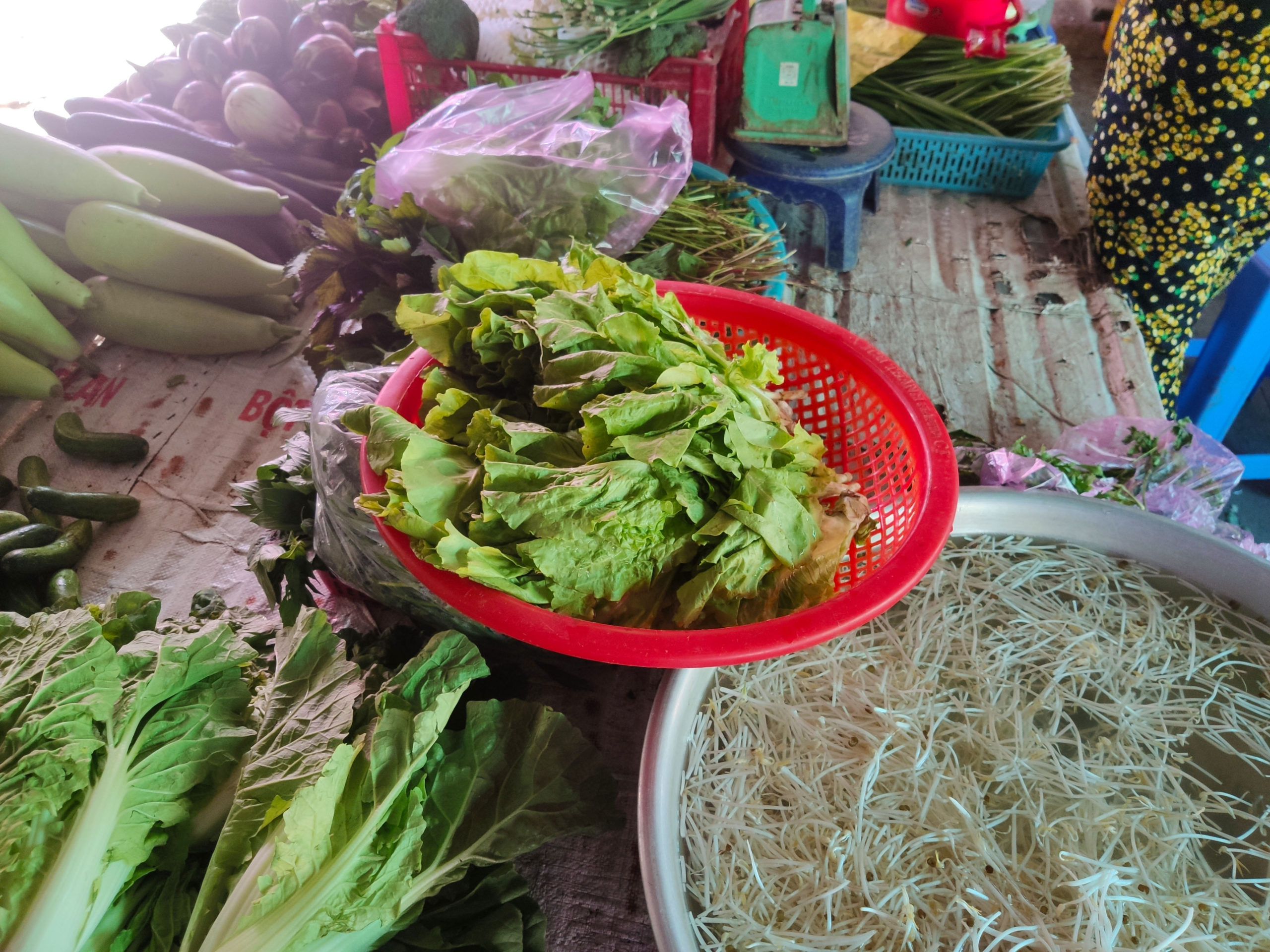 Vietnam-vegetable